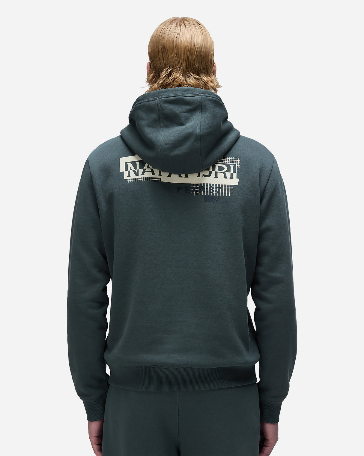 S4135485_NPG1Scl003