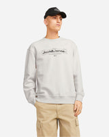 S4138704_13_0000cl001