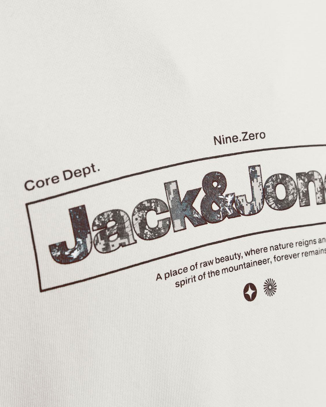 S4138704_13_0000cl005