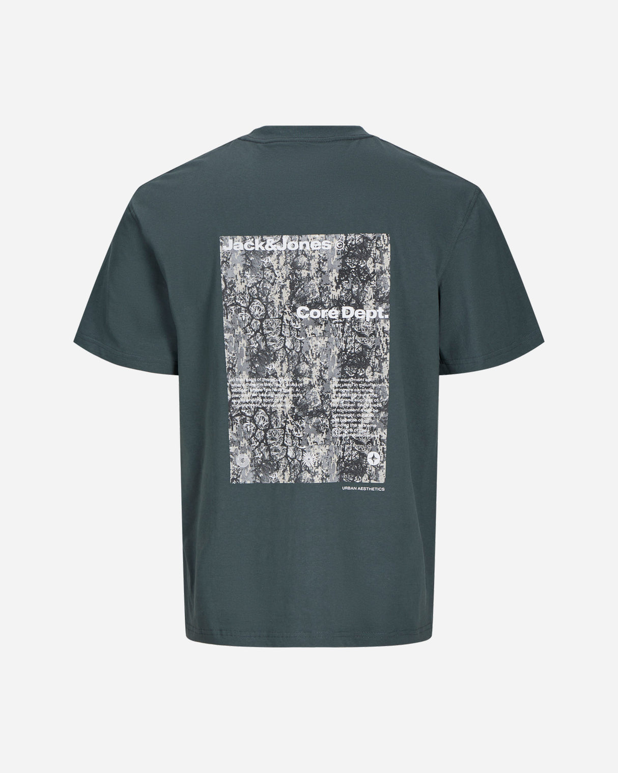 S4138912_19_5004cl001