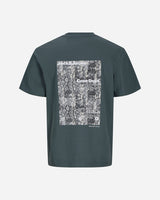 S4138912_19_5004cl001