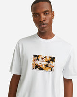 S4138918_11_0601cl003