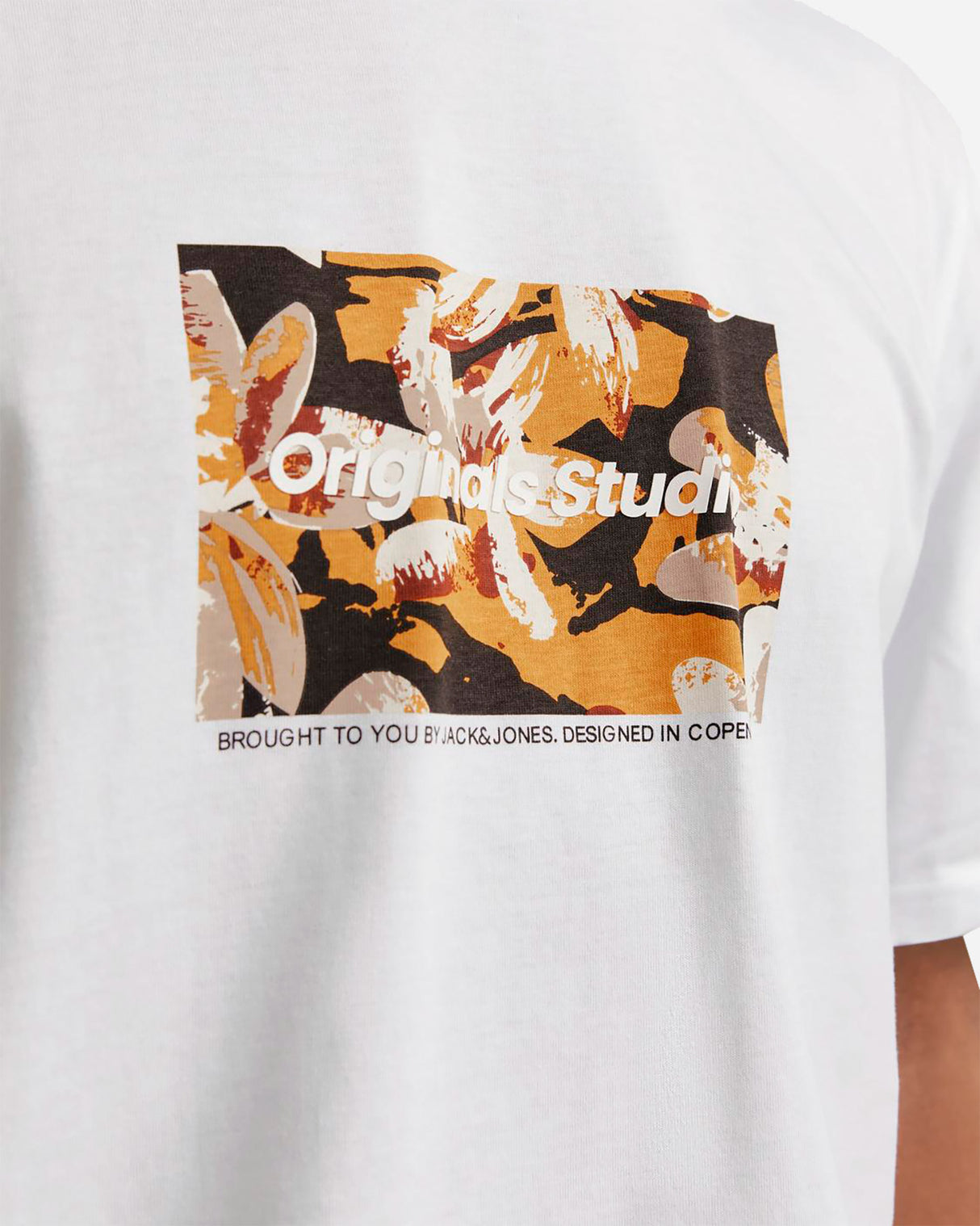 S4138918_11_0601cl004