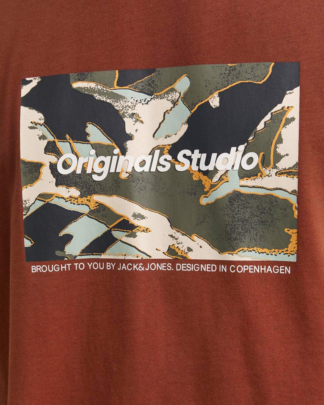 S4138919_18_1541cl005