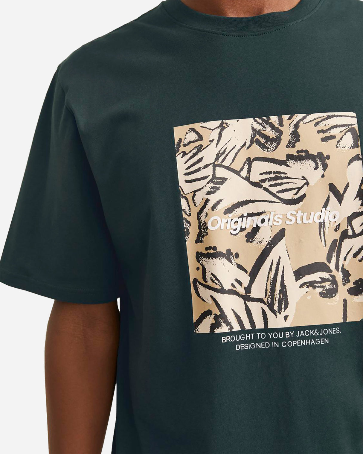 S4138920_19_4405cl005