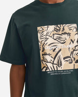 S4138920_19_4405cl005