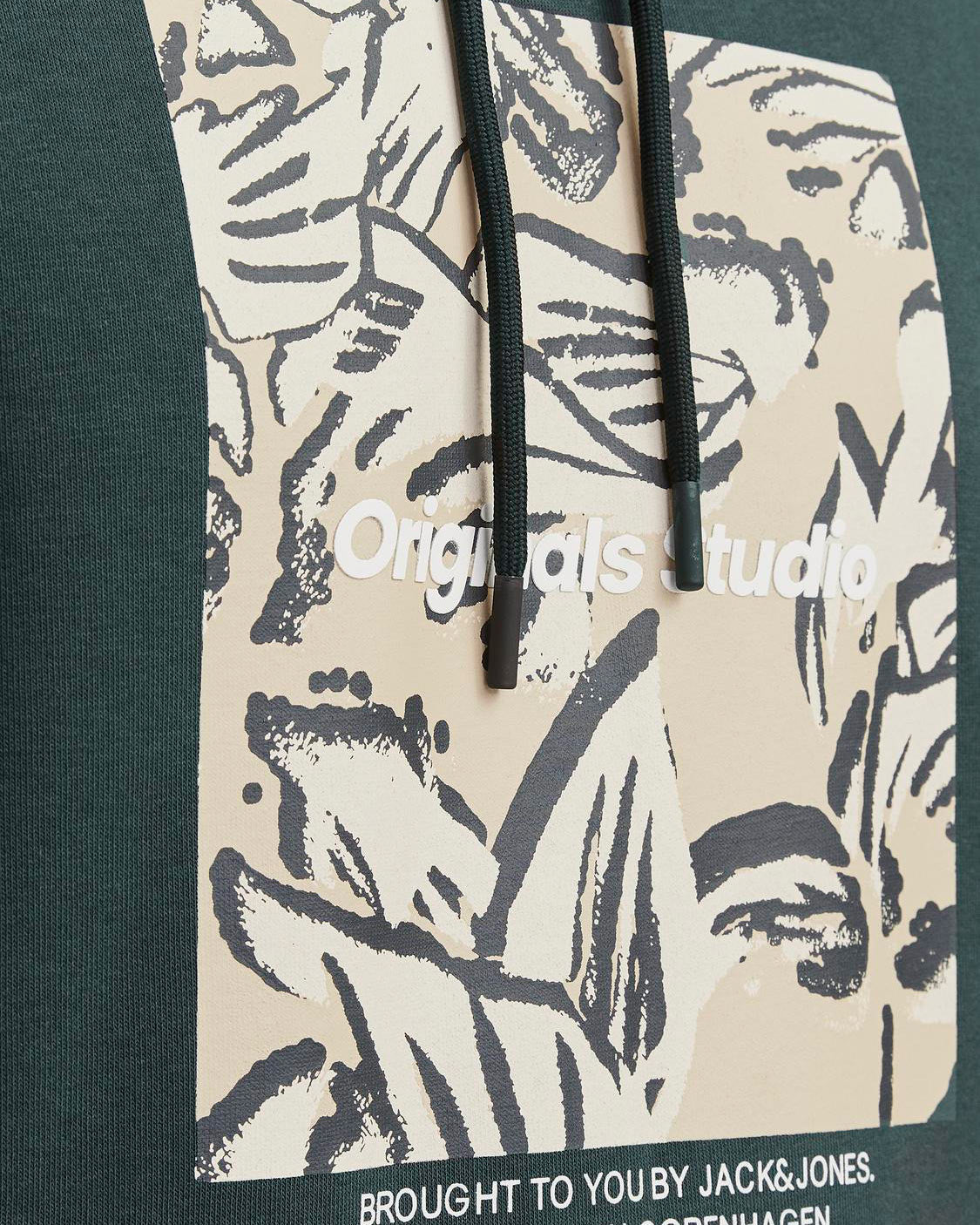 S4138992_19_4405cl004