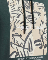 S4138992_19_4405cl004