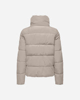 S4139673_13_0000cl001