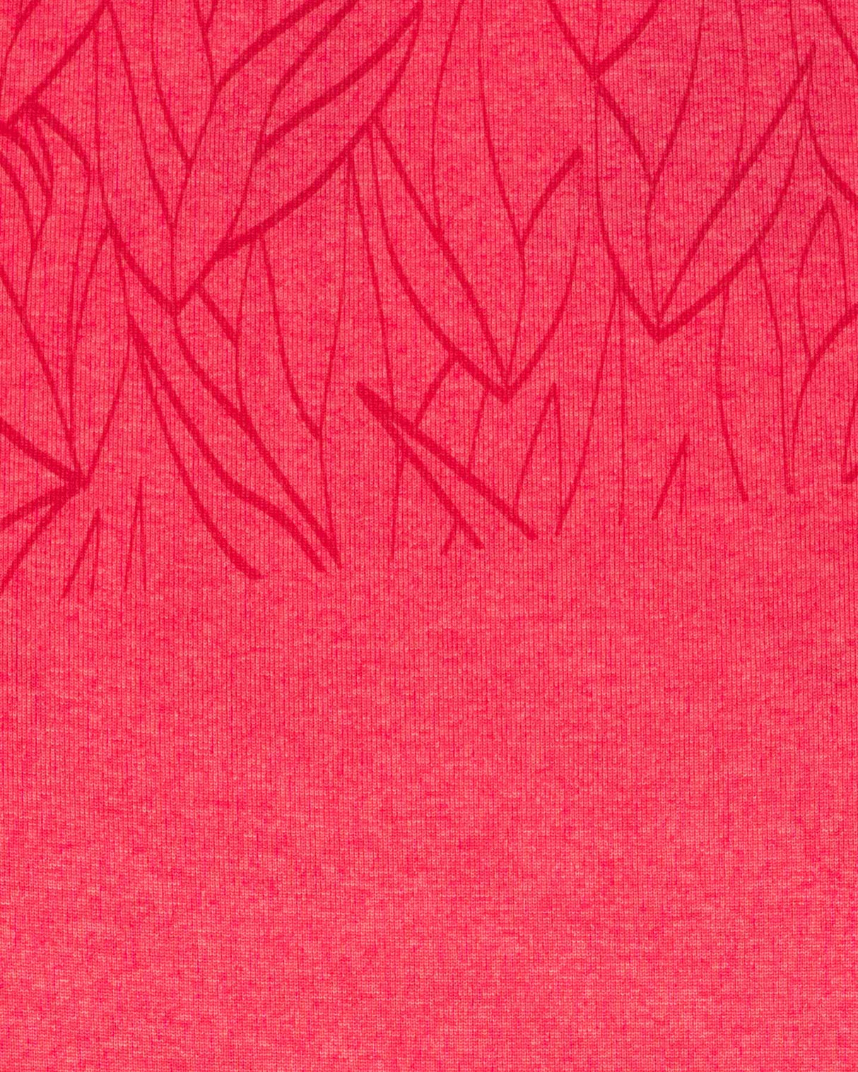 S4142886_635cl002