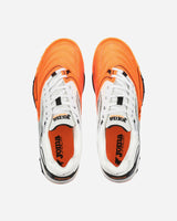 S4149544_NARANJAcl004