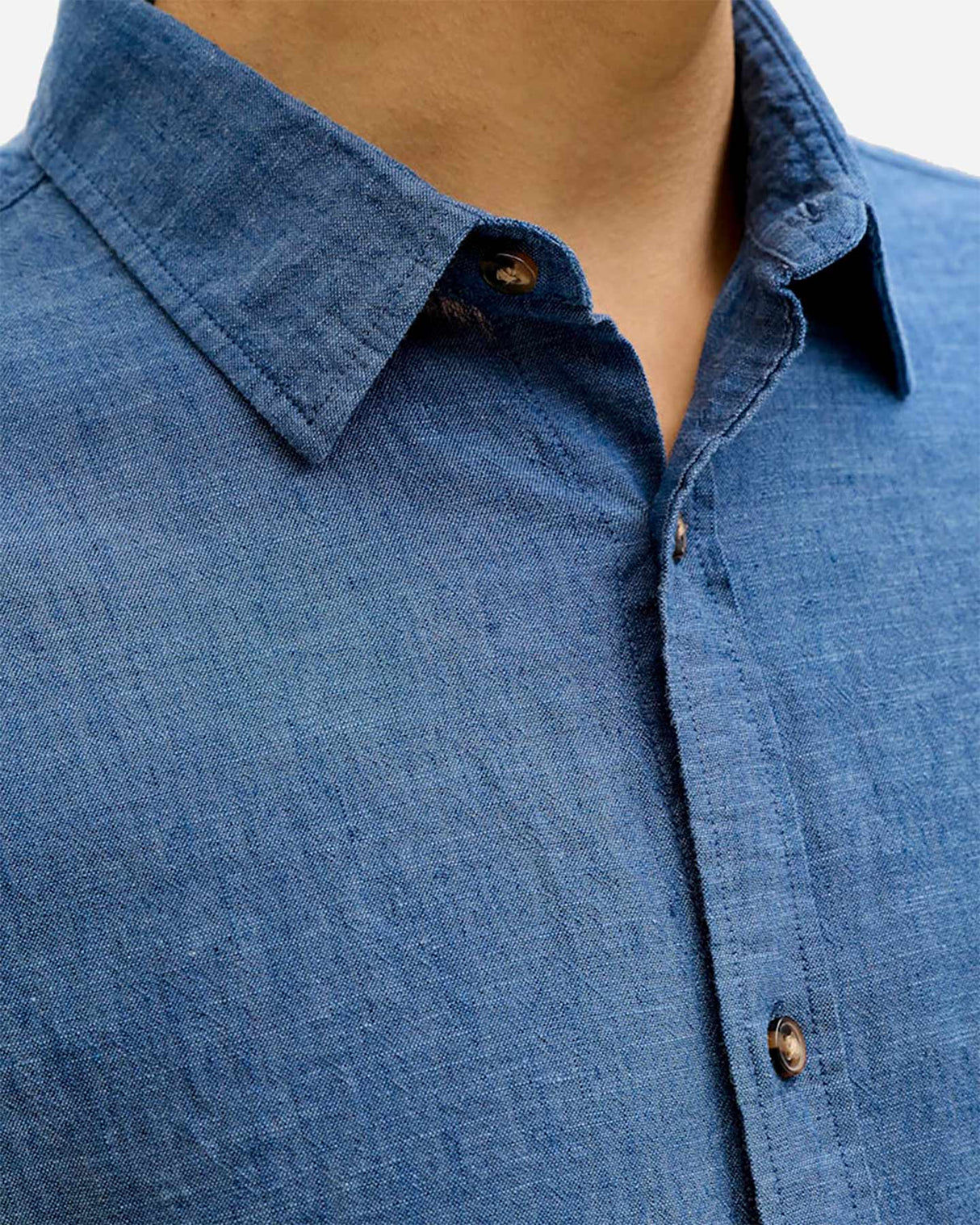 S4150608_19_3923cl004