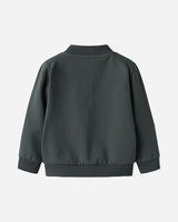 S4151573_17_6206cl001