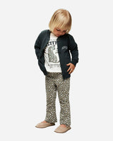 S4151577_17_6206cl003