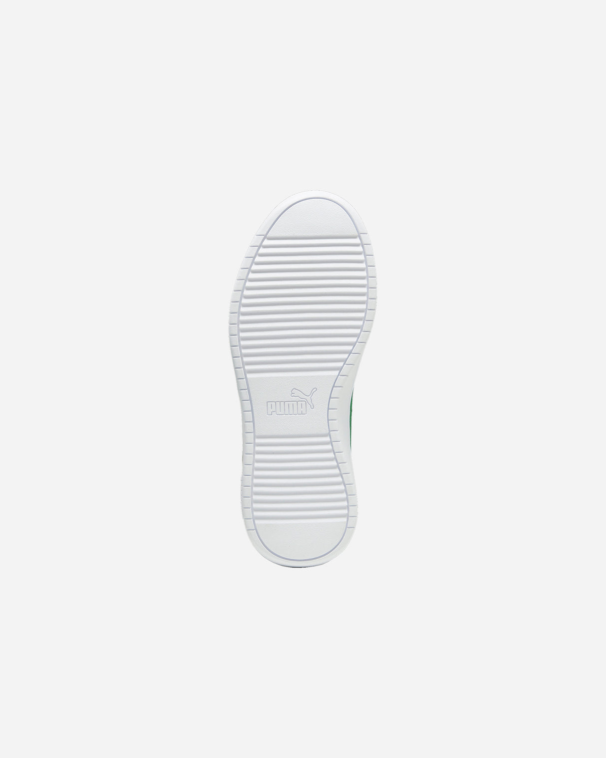 S5664277_26cl002