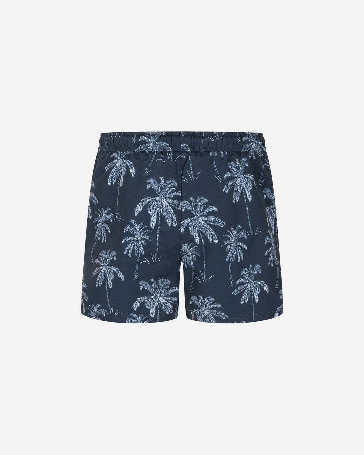 S5723434_01315Tcl001