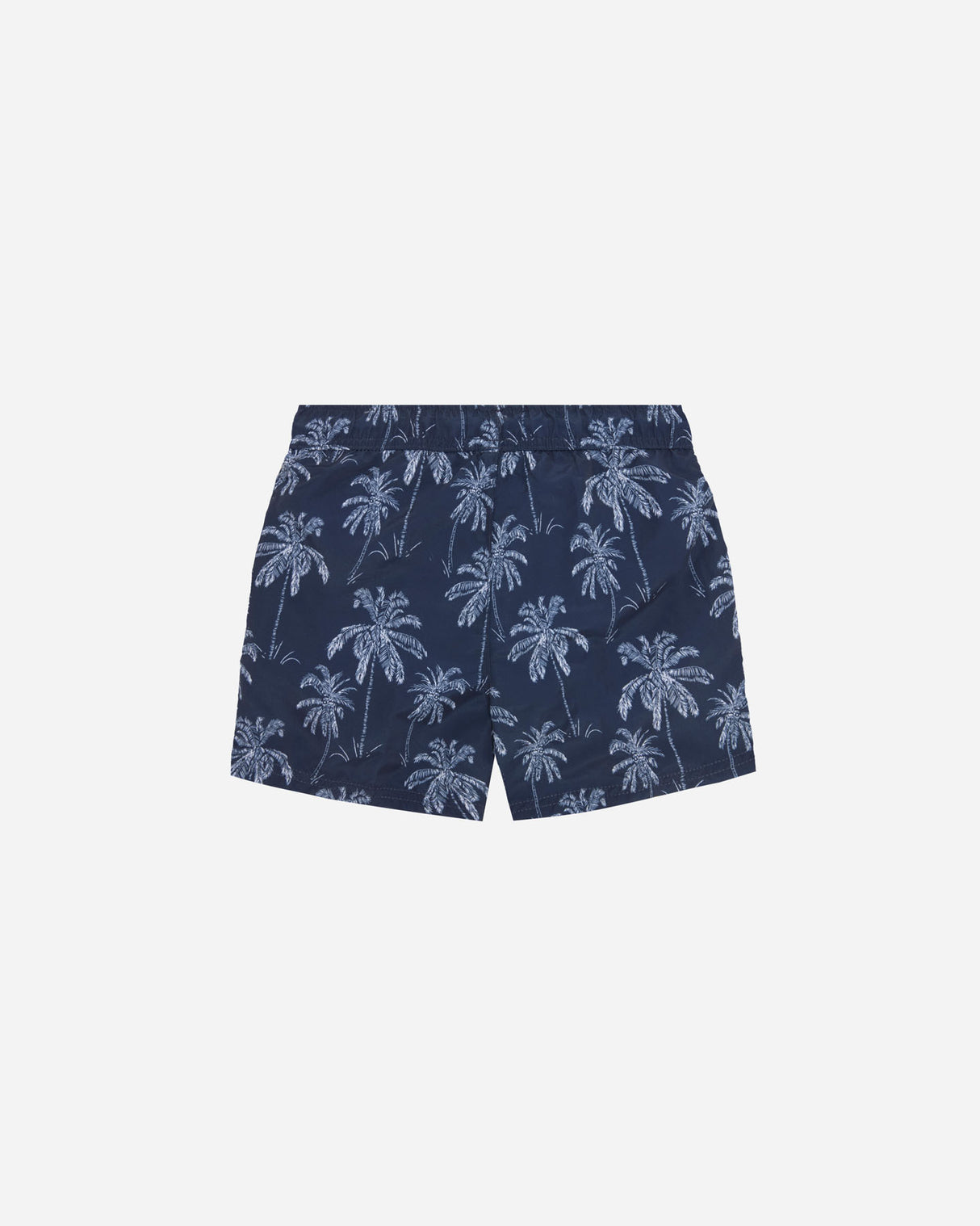 S5723436_01315Tcl001