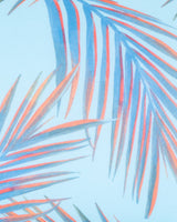 S5723442_020FNHcl001