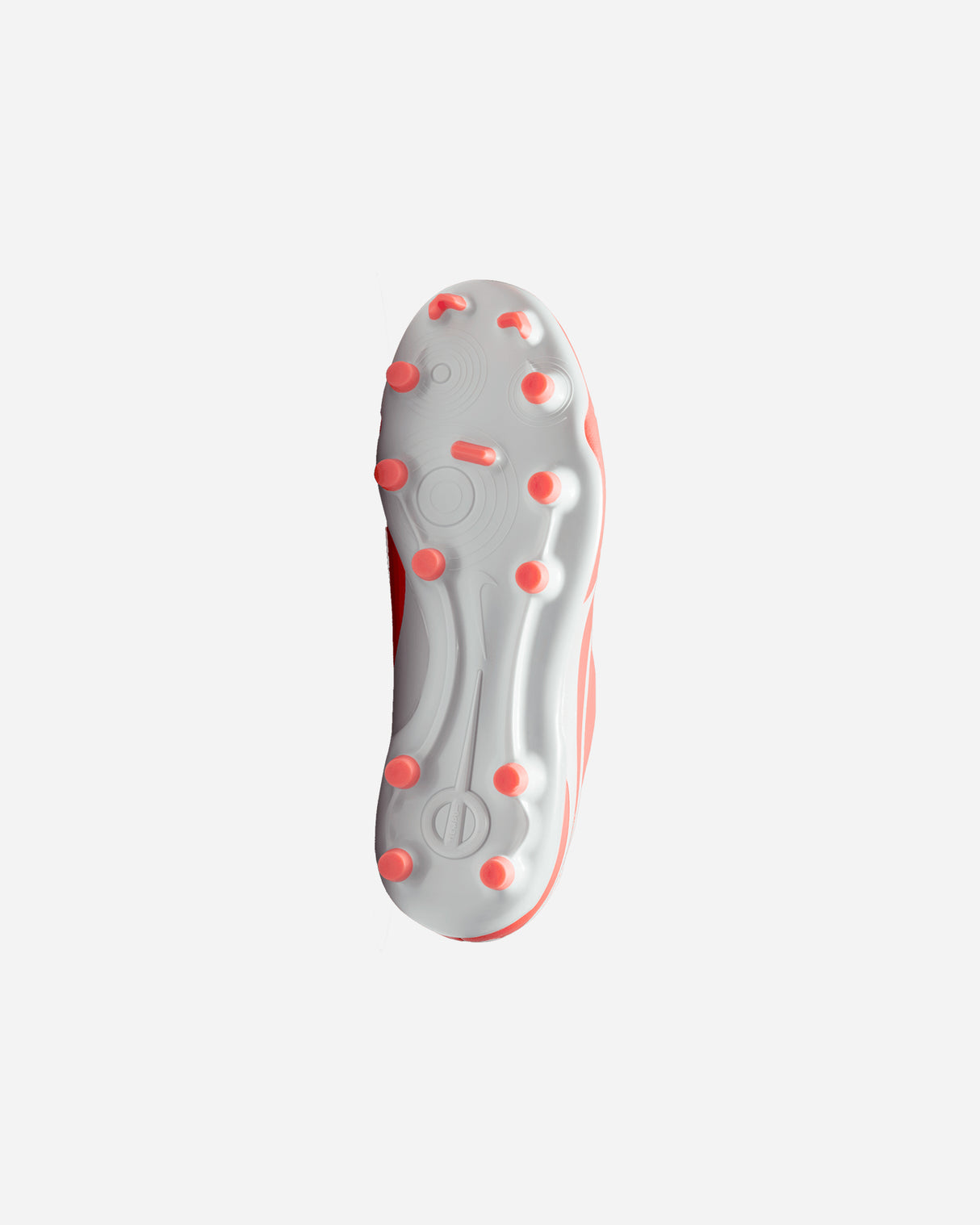S5784263_800cl002