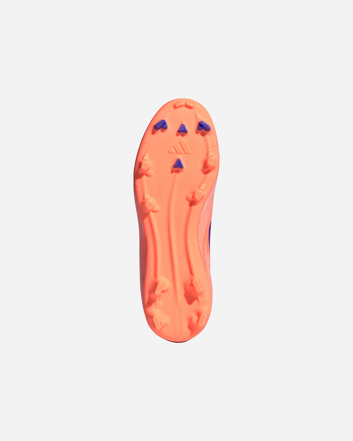 S5866244_UNIcl002