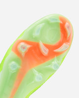 S5911444_800cl005