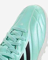 S6026017_UNIcl004