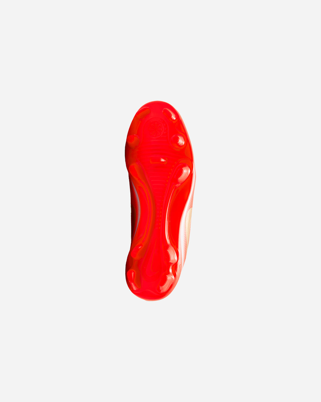 S6038585_100cl003