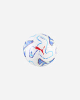 S6051158_01cl001