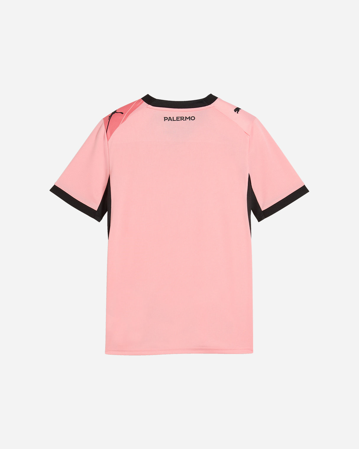 S6081870_01cl001